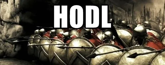 hodl meme 300